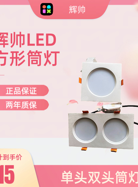 新辉帅led方形格栅灯筒灯9W18瓦开孔8-15厘米单头双头孔洞HSL3022