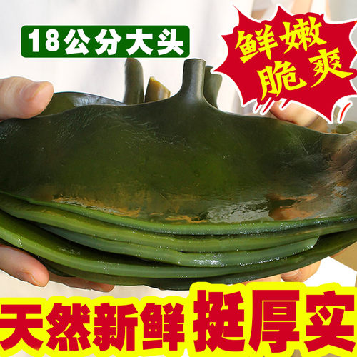 五斤出口级荣成新鲜非干货海带