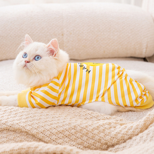 小猫咪衣服防掉毛四脚布偶幼猫无毛猫春秋款蓝猫猫宠物银渐层秋天