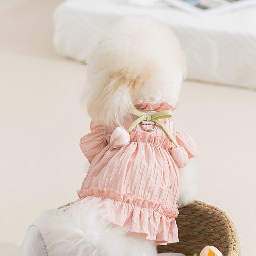 小狗狗衣服夏季薄款郁金香公主连衣裙子比熊泰迪小型幼犬猫咪宠物