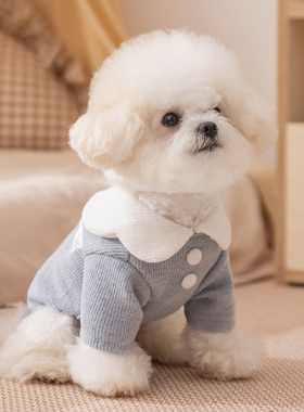 宠物小狗狗衣服打底衫秋冬款保暖小型幼犬比熊泰迪雪纳瑞猫咪冬装