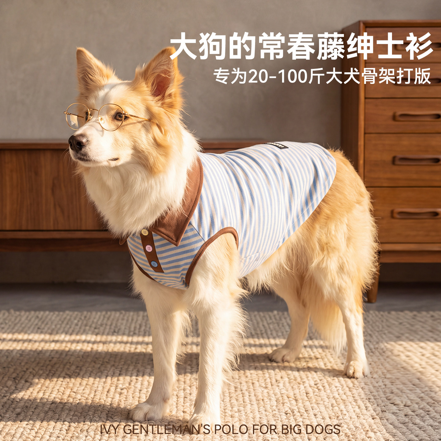 狗狗衣服复古翻领打底衫图片
