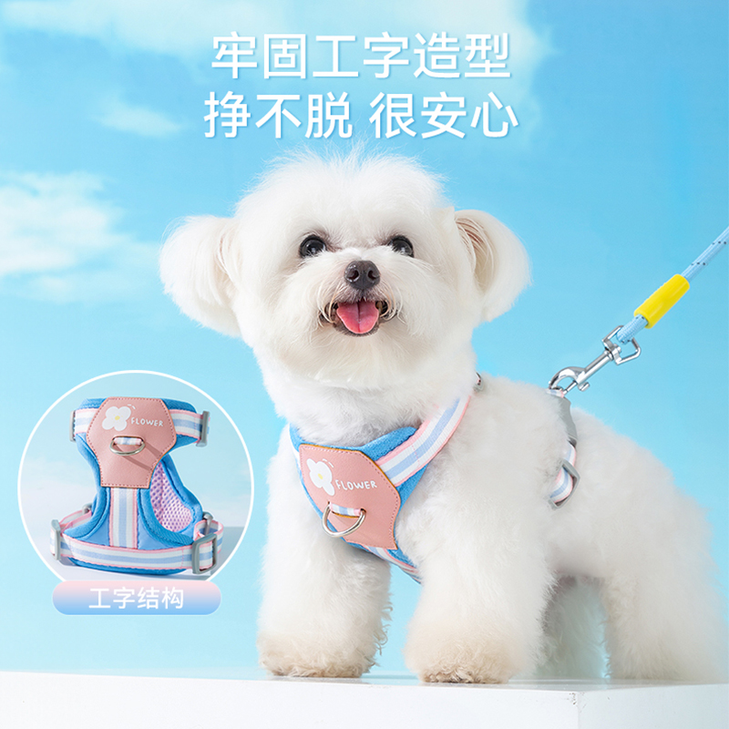 嬉皮狗多彩小花外出牵引绳