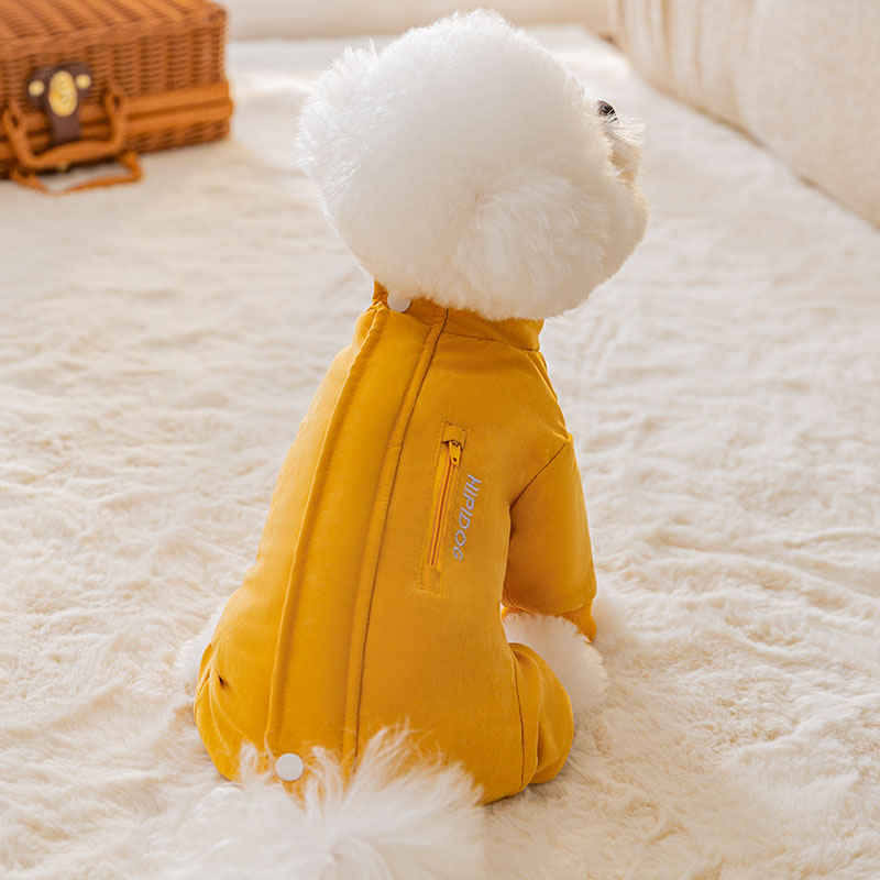 小猫咪衣服秋装加厚护肚衣