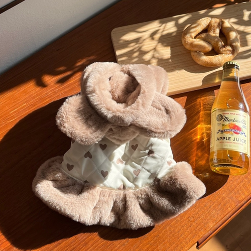 小狗狗衣服冬装2025新款裙子宠物比熊泰迪雪纳瑞小型犬猫咪秋冬季