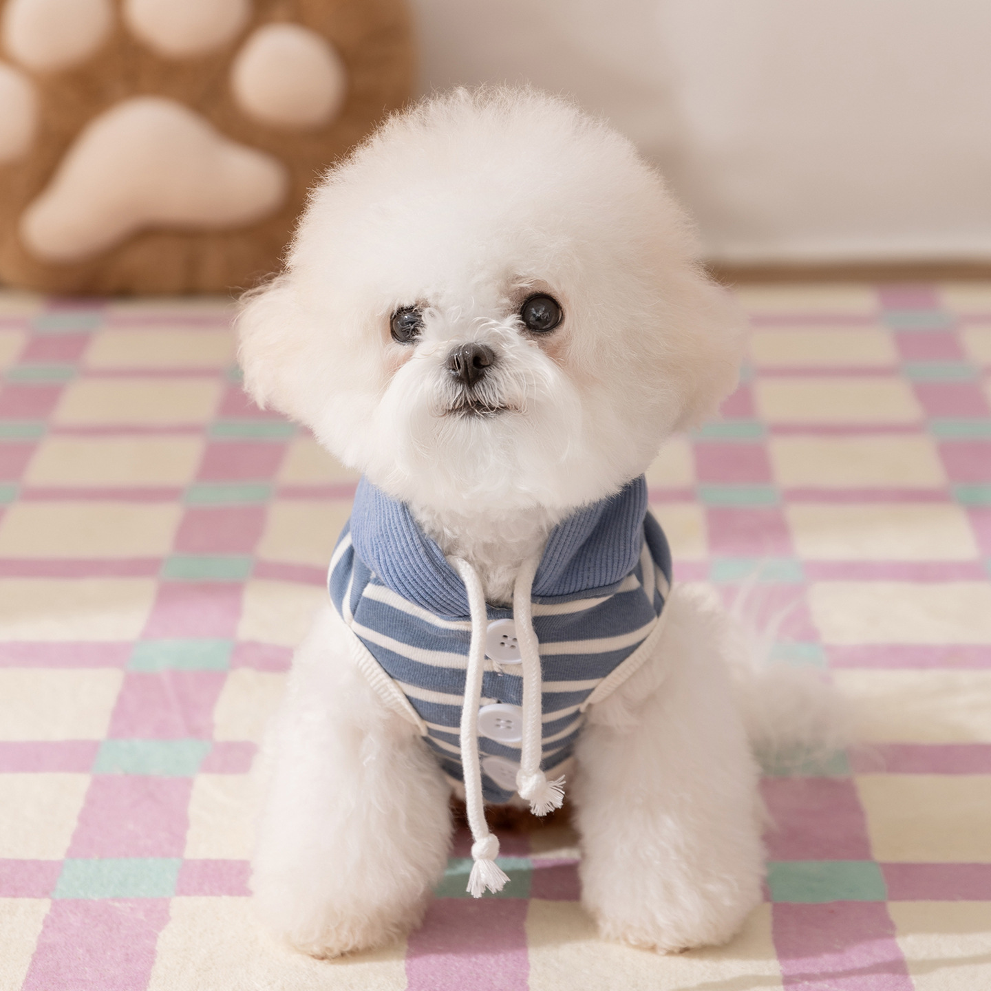 秋冬新款小狗狗衣服连帽薄款卫衣小型幼犬宠物泰迪比熊雪纳瑞猫咪