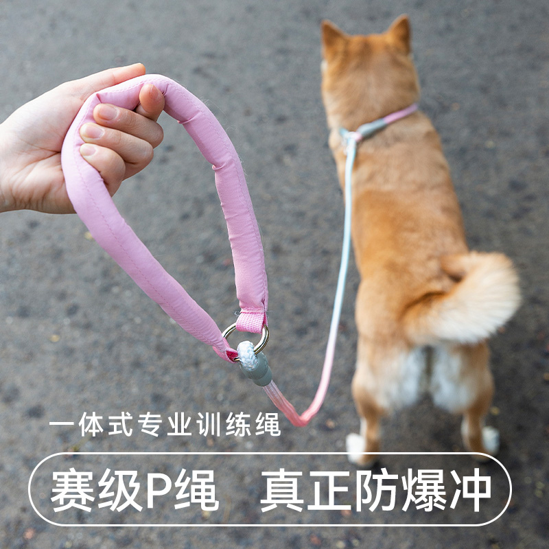嬉皮狗梦幻渐变晕染P绳