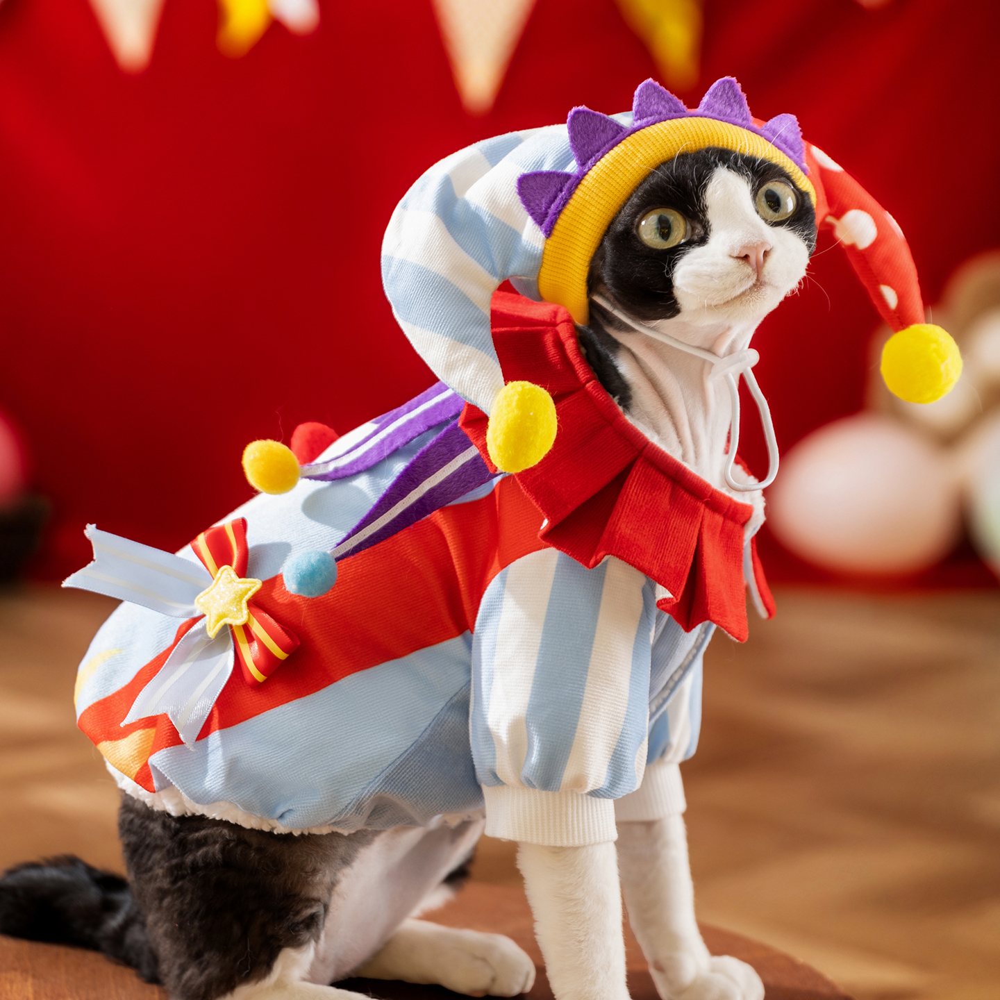 秋冬猫咪衣服乐园小丑带帽变身装德文猫无毛猫搞怪冬天保暖衣服
