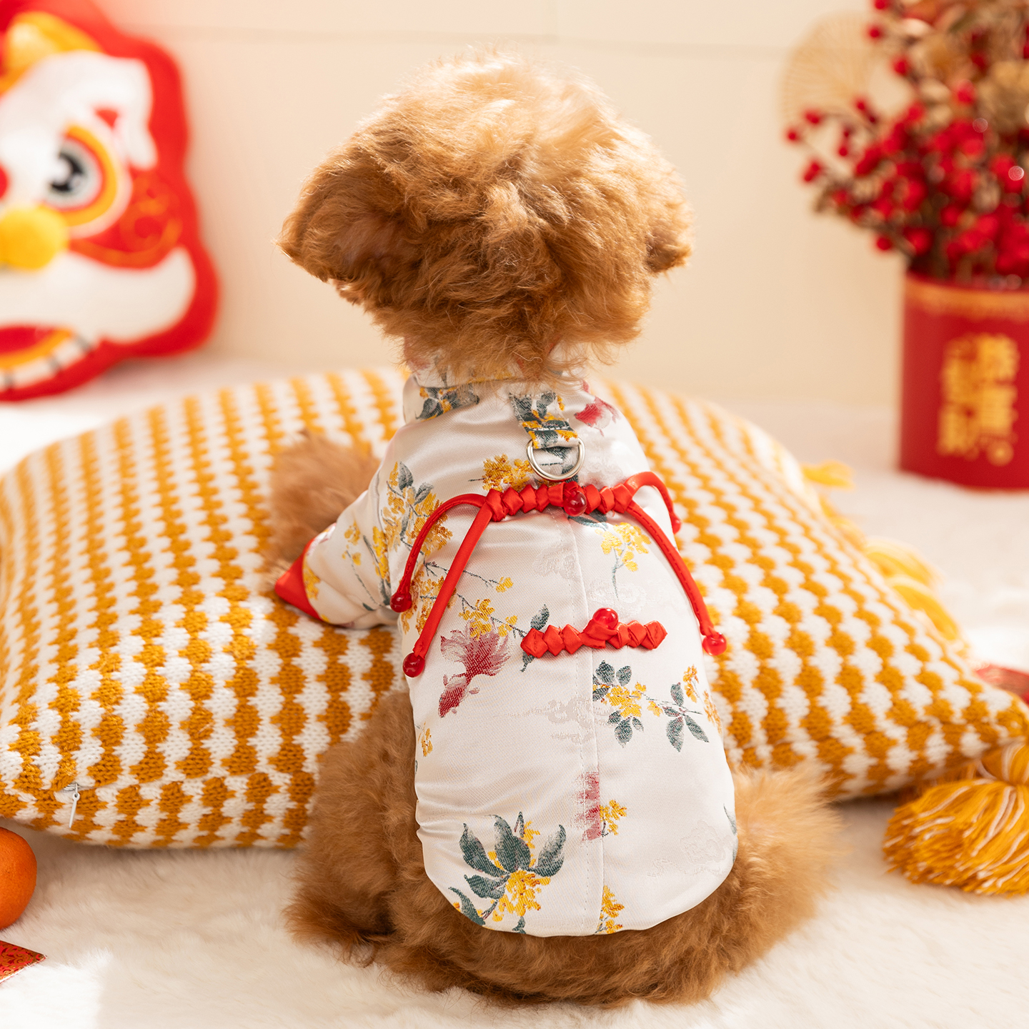 宠物小狗狗衣服秋冬季