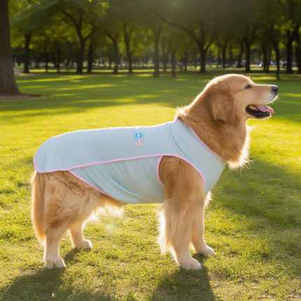大狗狗防晒凉凉衣宠物衣服中型大型犬夏季薄款萨摩耶边牧金毛背心