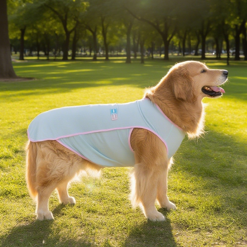 宠物清凉款冰丝背心衣服