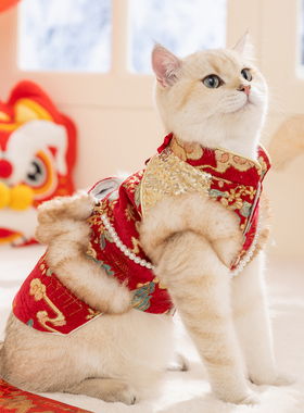 秋冬季小猫咪新年盘扣唐装保暖喜庆过年德文布偶缅因宠物衣服冬装