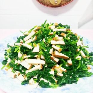 浙江嘉兴农家春天应季野菜时令蔬菜美味绿色菜现摘现发新鲜马兰头