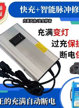 18.25V磷酸铁锂充电器1a2a3a4a5a10a5串3.2V电池组恒流压充满转灯