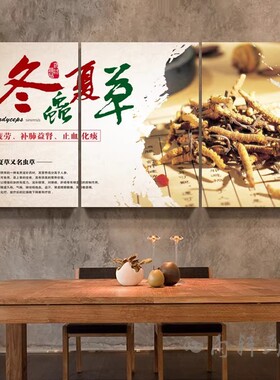 中药材海报挂图中草药养生中医馆宣传画冬虫夏草灵芝当归广告墙画