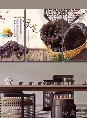 中药材挂图灵芝中医养生馆宣传海报广告贴画中草药介绍药店装饰画