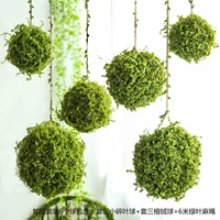 Шесть шаров (в том числе 6 метров зеленого листового конопля)