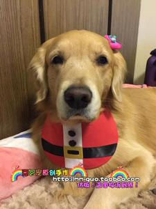豆包宠原创设计 2016年圣诞款 大狗口水巾 大型犬防水巾