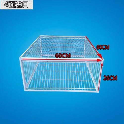 天落笼只进不出鸽子笼加密收鸽笼撞门笼活络门户外自动收鸽子神器