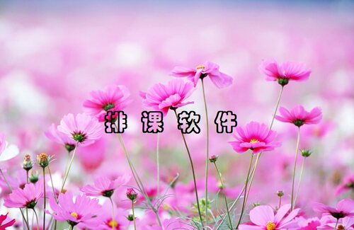 排课软件排课助手学校排课软件中小学排课系统大学排课软件