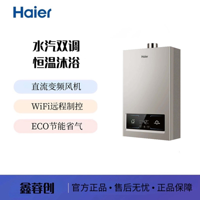 Haier/海尔 JSQ25-13WG3(12T)U1 天然气ECO节能厨房家用强排式