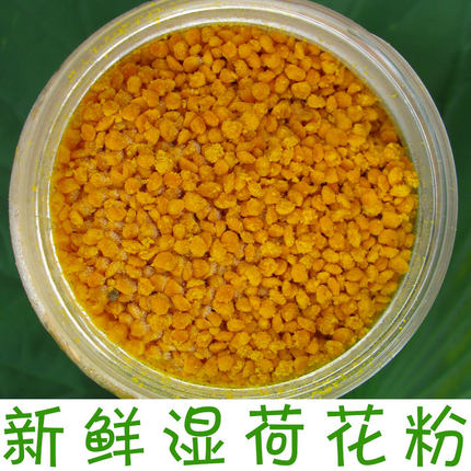 小宝山珍新鲜即采即冻湿荷花粉莲花粉蜂花粉入口即化顺丰空运包邮