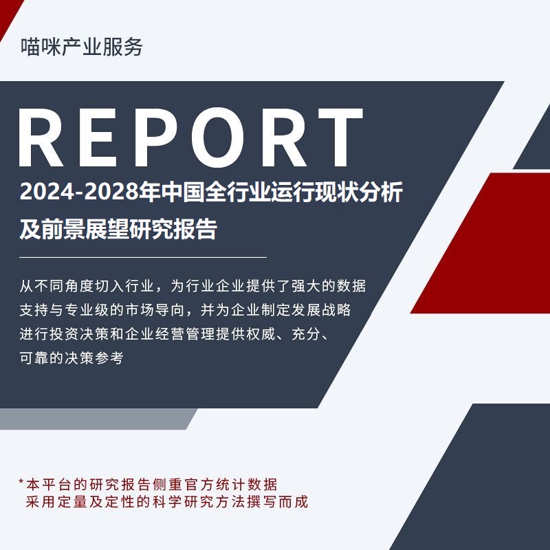 2023版行业报告市场研究竞争分析前景预测产品调研战略及数据分析