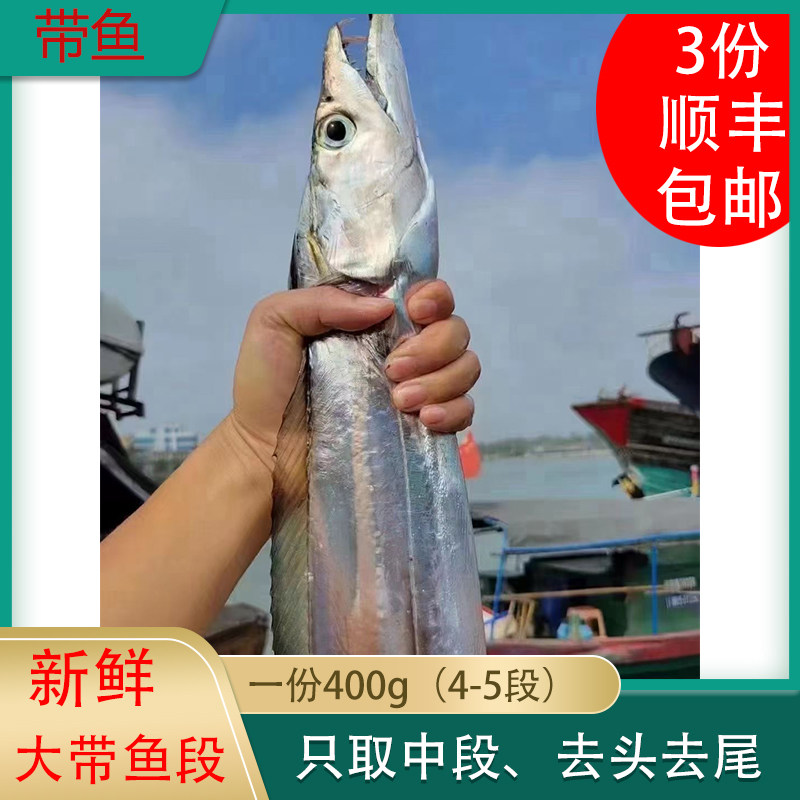 北部湾海鲜 带鱼 北海刀鱼 牙带鱼 中段  鲜活冷冻 400g(4-5段)