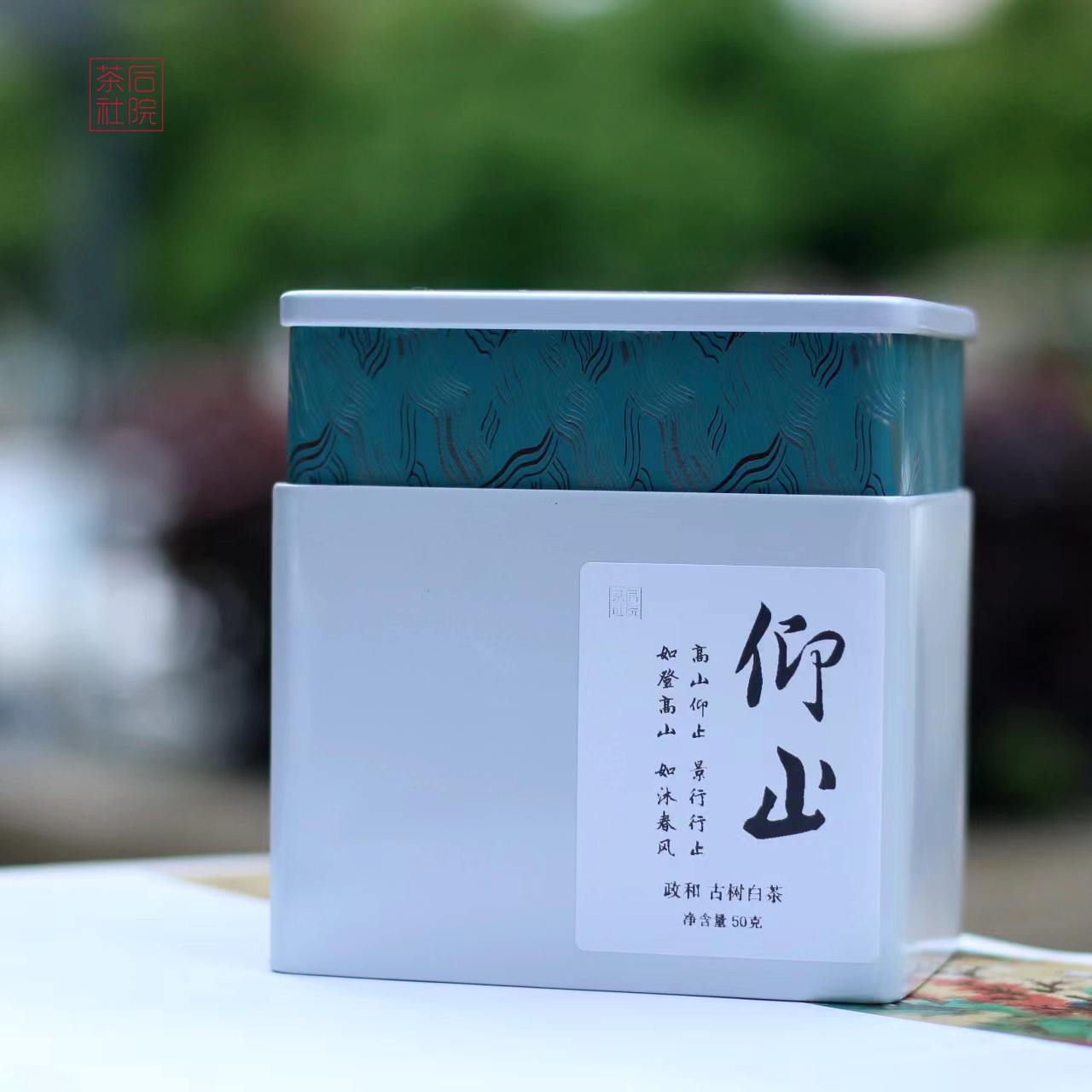 后院茶社政和古树白茶