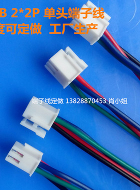 PHB2.0mm端子线 双排带锁扣 2.0连接插件 双排2*2P 4P端子线单头