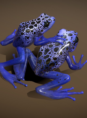 蓝色箭毒娃模型 3D模型 三维模型 FBX模型 PBR写实模型 Blender