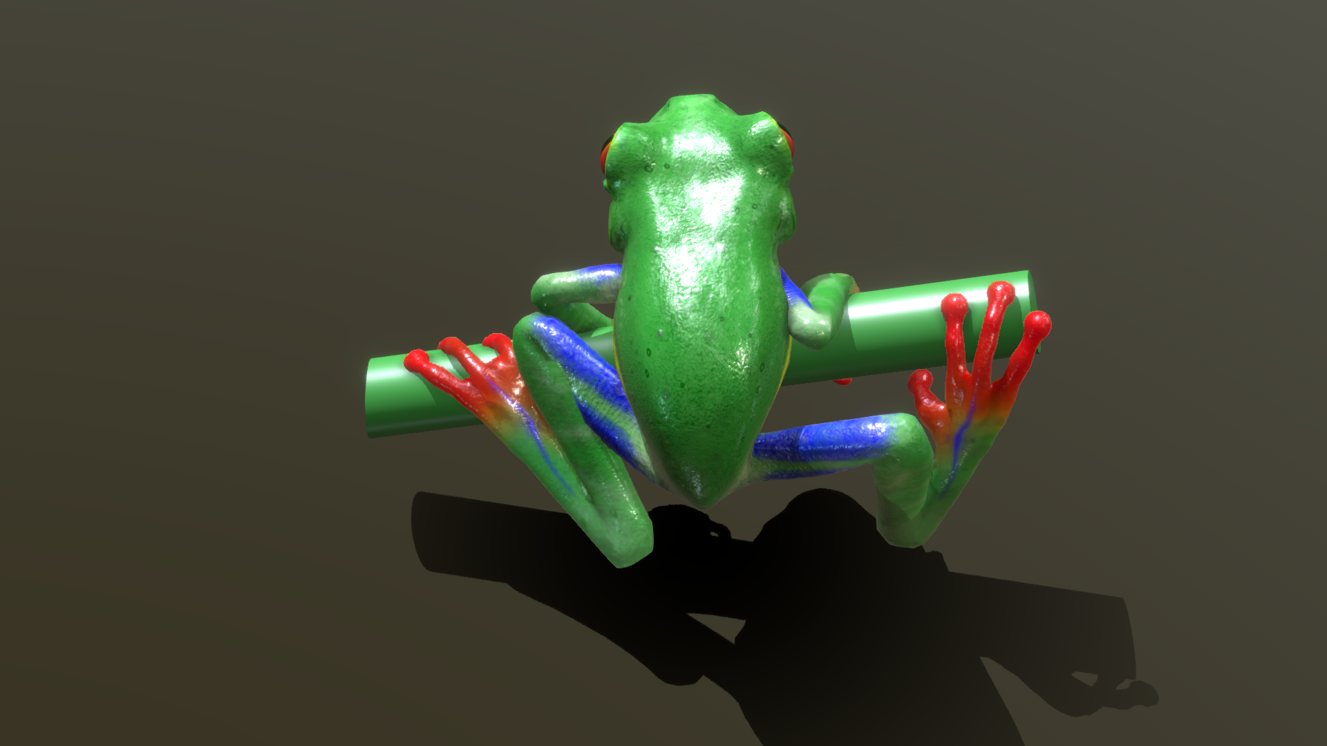 红眼树蛙模型 海洋动物 3D模型 三维 FBX模型 PBR写实模型 Blende