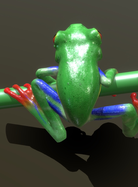 红眼树蛙模型 海洋动物 3D模型 三维 FBX模型 PBR写实模型 Blende