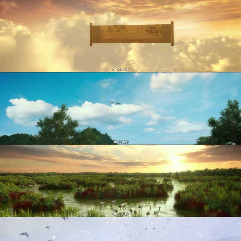 丹顶鹤宣传动画 保护 3D动画 三维漫游 宣传片 视频素材6分钟动画