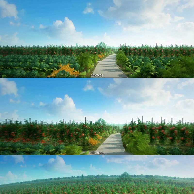 三维生态有机农业绿色食品有机蔬菜3D动画三维城市宣传片视频素材