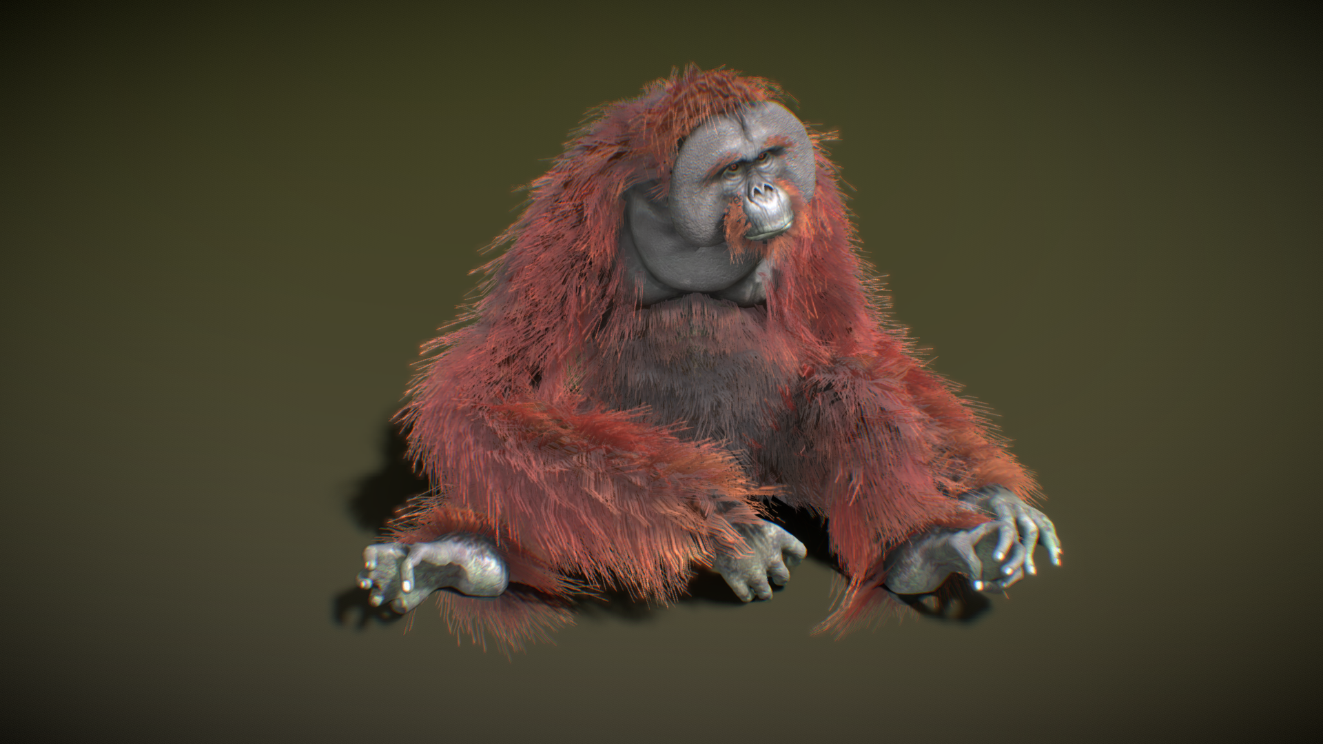 大猩猩模型 3D模型 三维模型 FBX模型 PBR写实模型 Blender