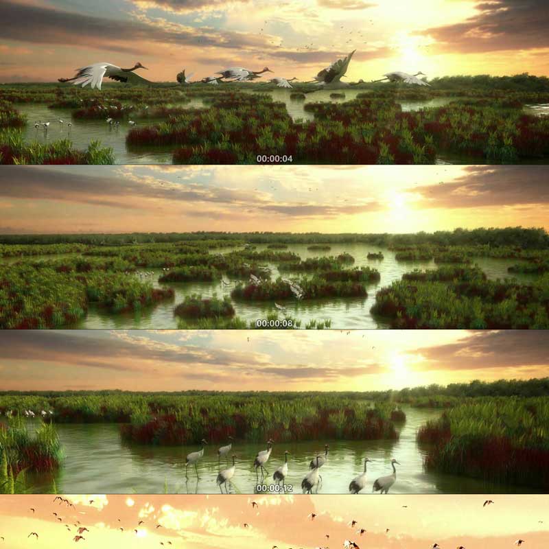 丹顶鹤 候鸟迁徙 3D动画 三维建筑漫游 城市宣传片 视频素材镜头