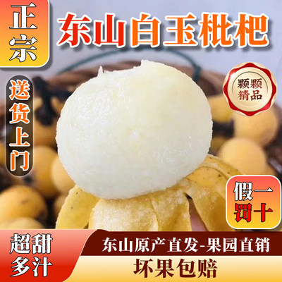 【自产自销】正宗东山白玉枇杷