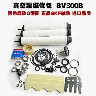 莱宝SV300B维修包叶片排气滤芯