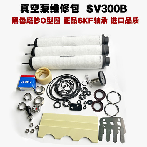 莱宝SV300B维修包叶片排气滤芯