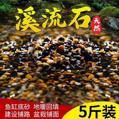 水族箱小石子石头铺底原生溪流专用鱼缸造景石溪流底砂装饰砂天然