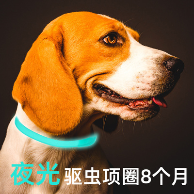 夜光除跳蚤狗项圈猫咪项圈多功能虱子蜱虫蚊子驱虫项圈发光