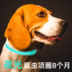 夜光除跳蚤狗项圈猫咪项圈多功能虱子蜱虫蚊子驱虫项圈发光