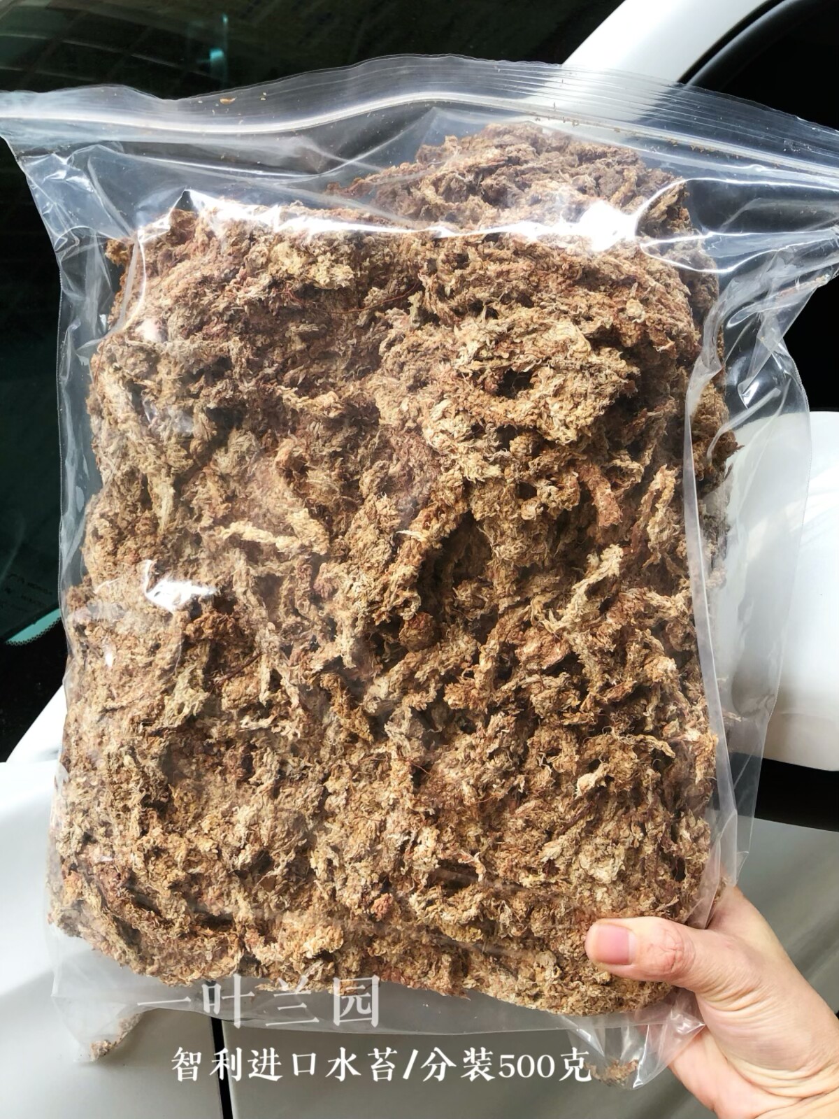 智利进口蝴蝶兰保湿透气介质包邮图片