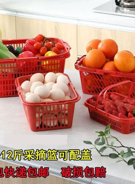 草莓采摘篮子塑料红色手提水果筐子杨梅篮樱桃篮桑葚篮整包包邮