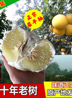 正宗梁平柚原产地发货新鲜放心燃熏仿制邮票黑麦仁尾