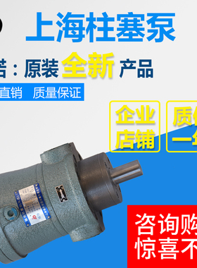 2.5MCY 5YCY 10MCY 25MCY 63MCY 80MCY 160MCY14-1B轴向柱塞泵