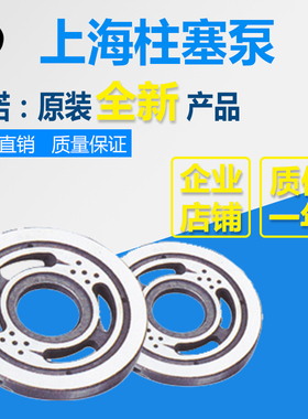 HY10/16/25/40/63/80/100/107/125/160/180/250M/S/Y-RP配油盘