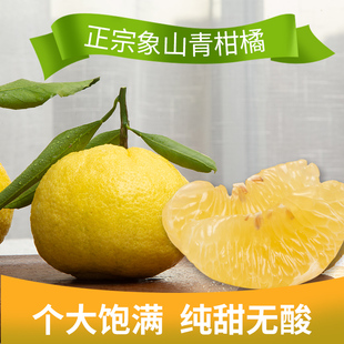 正宗象山青日本春香橘柚黄金贡柚宁波大棚应季水果甜桔柚礼盒顺丰