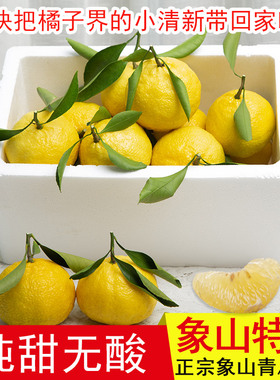 正宗象山青柑橘纯甜无酸春香柚黄金贡柚当季宁波新鲜水果不上火